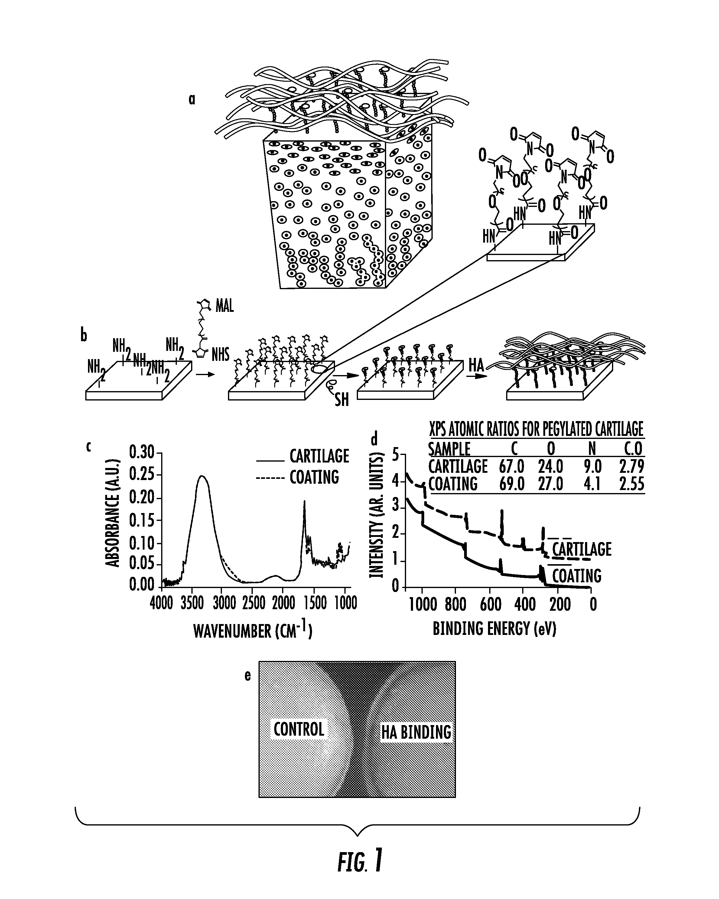 Biomaterials comprising hyaluronic acid binding peptides and extracellular matrix binding peptides for hyaluronic acid retention and tissue engineering applications