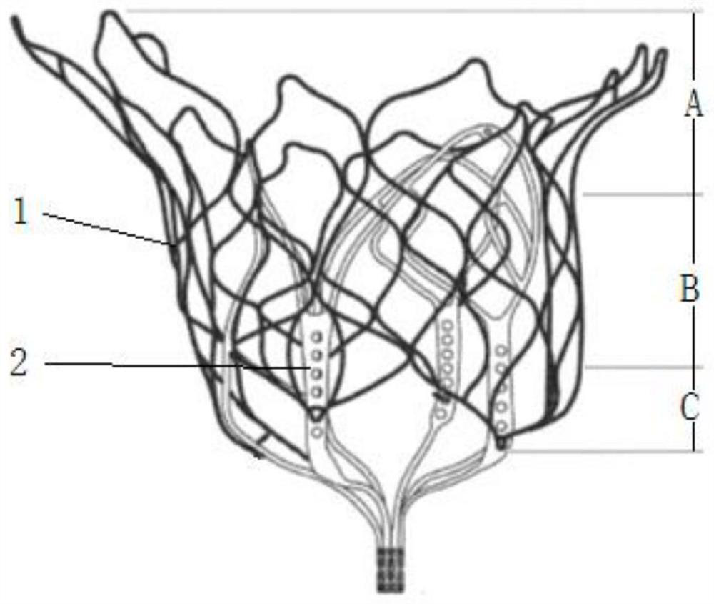 Mitral valve replacement prosthesis and outer support thereof