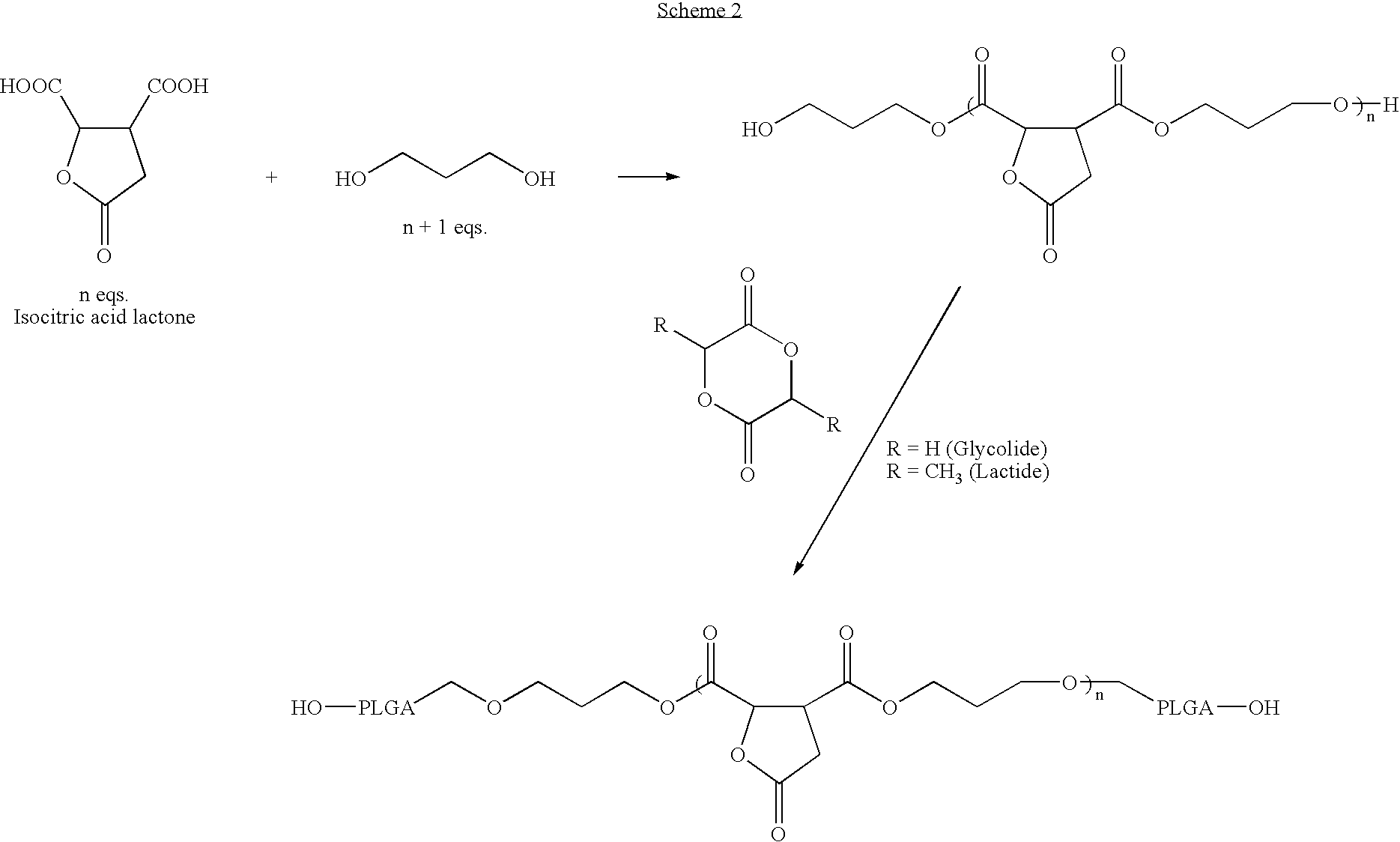 Lactone bearing absorbable polymers