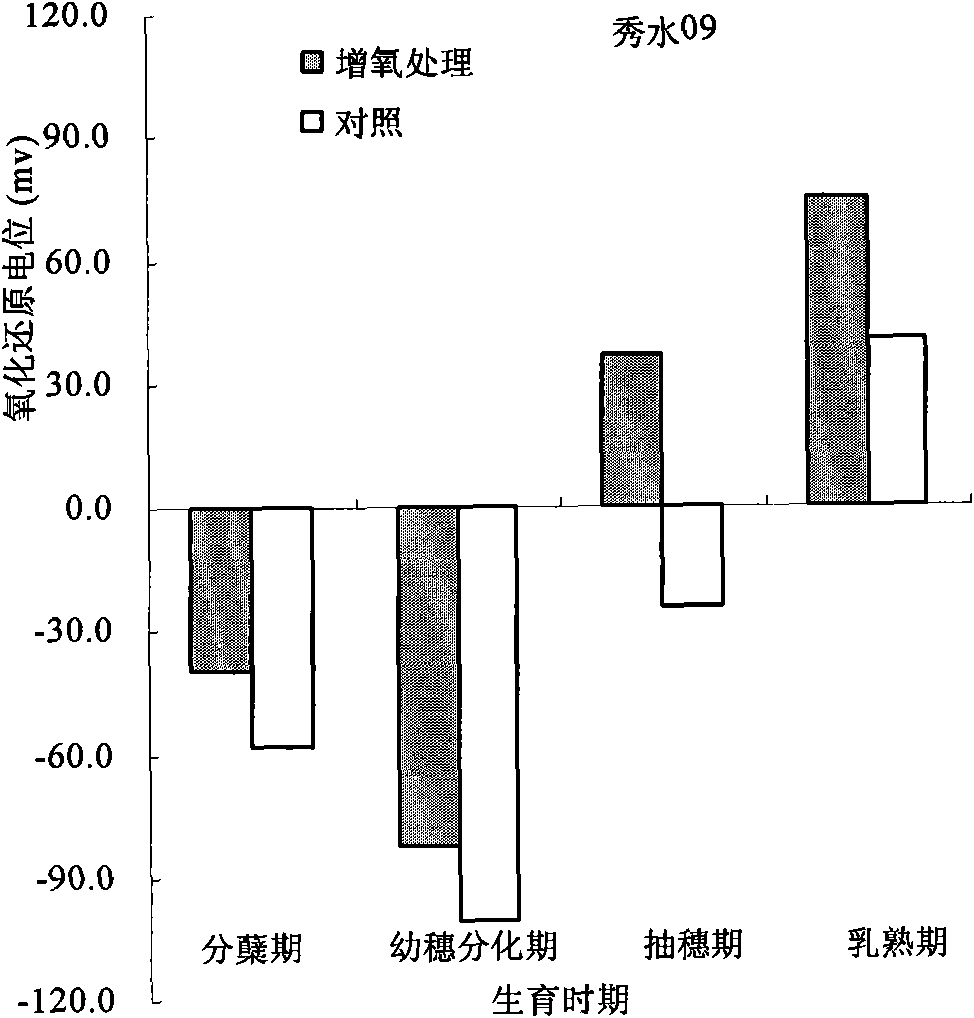 Oxygenating cultivation method for irrigating rice with micro-nano bubble water
