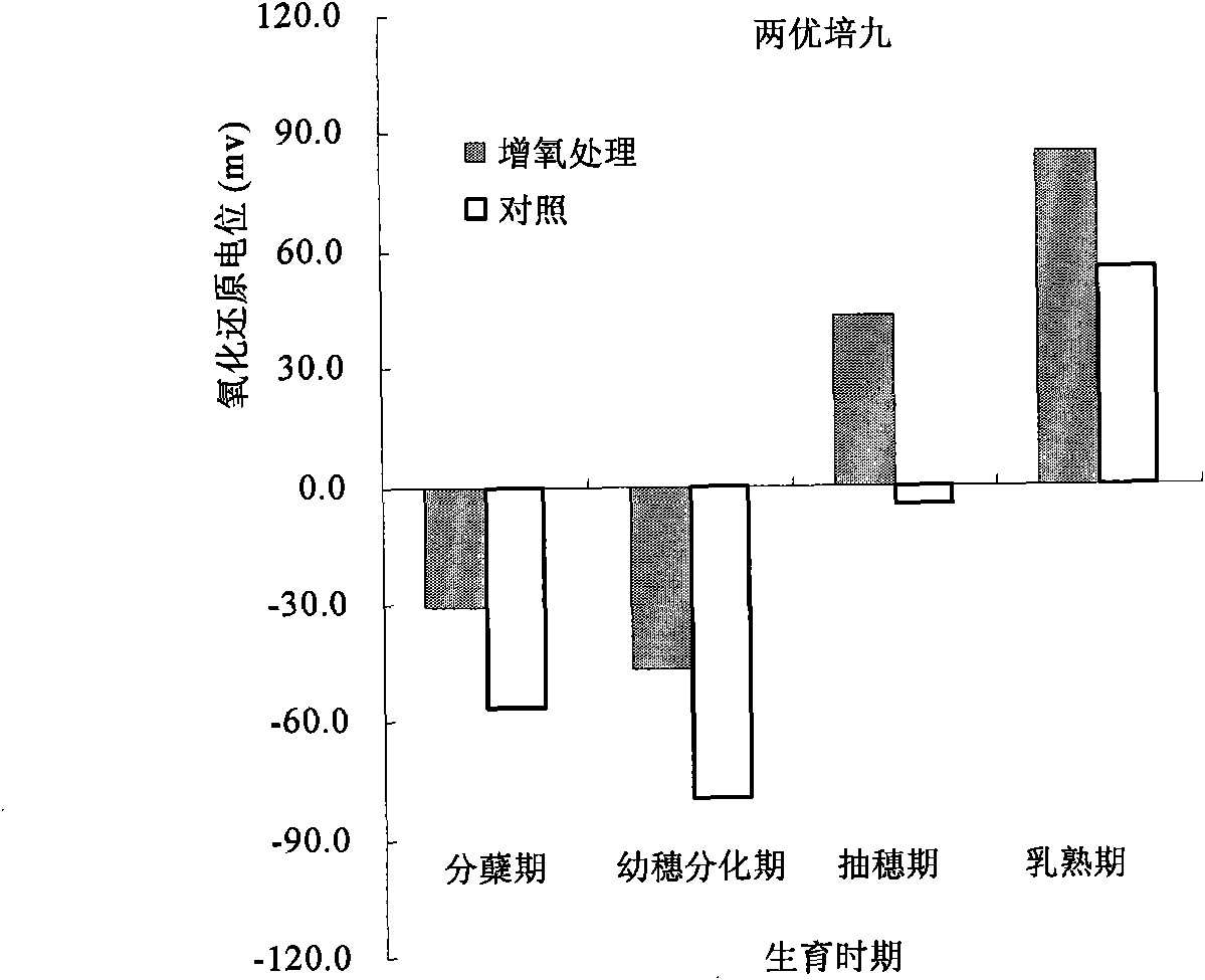 Oxygenating cultivation method for irrigating rice with micro-nano bubble water