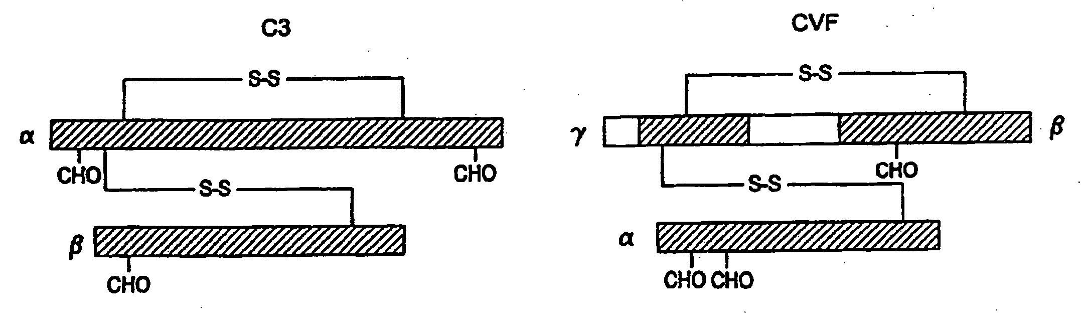 Human complement c3 derivatives with cobra venom factor-like function