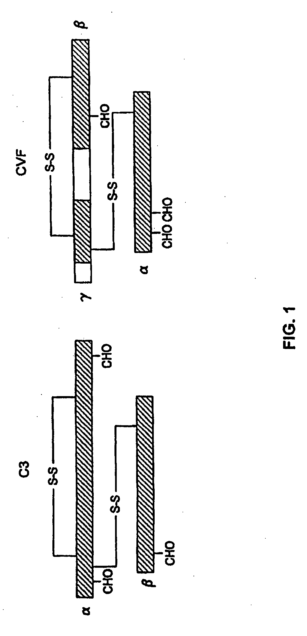 Human complement c3 derivatives with cobra venom factor-like function