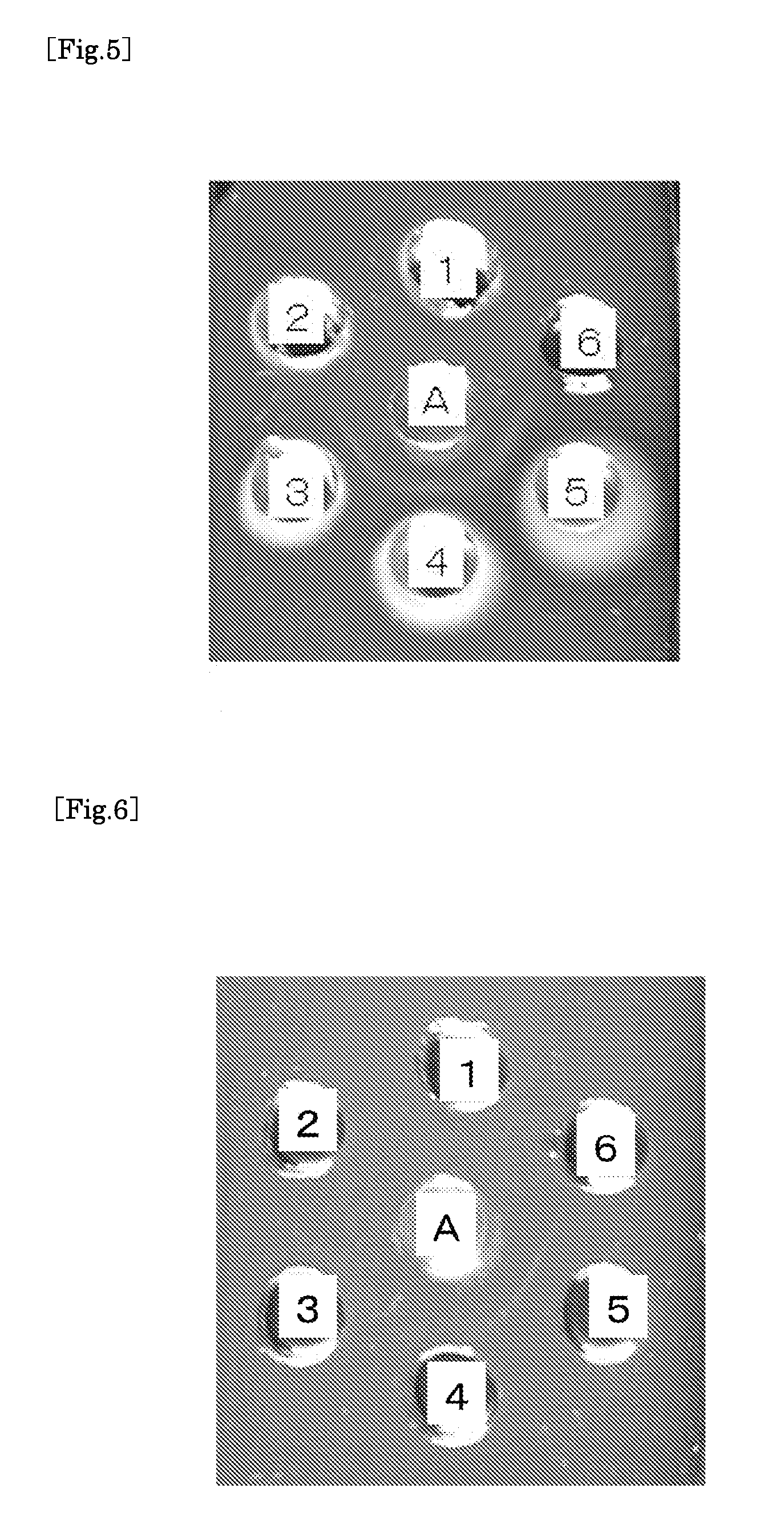 Antibody produced using ostrich and method for production thereof