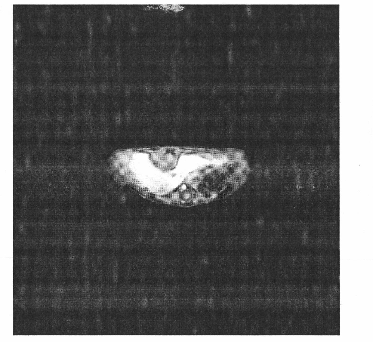 Contrast medium of dual-sector targeted magnetic resonance imaging contrast and preparation thereof