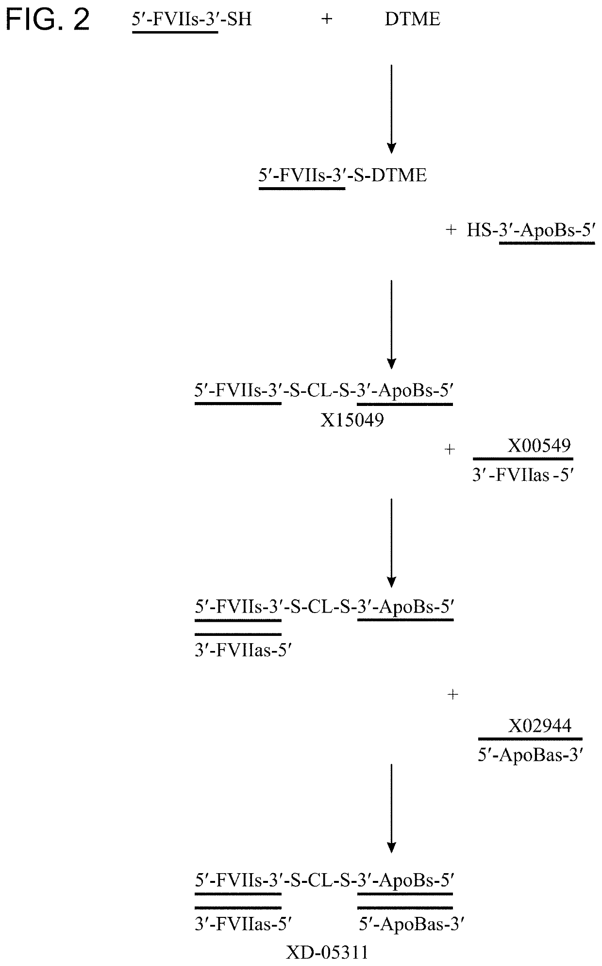 Defined multi-conjugate oligonucleotides