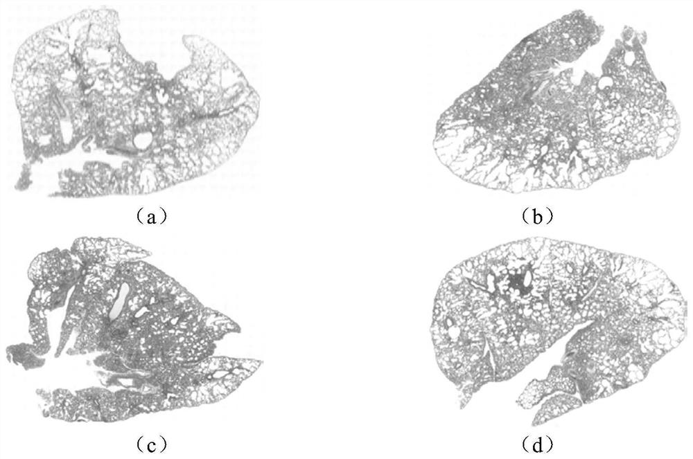 Application of Tanreqing in preparation of anti-influenza virus medicine