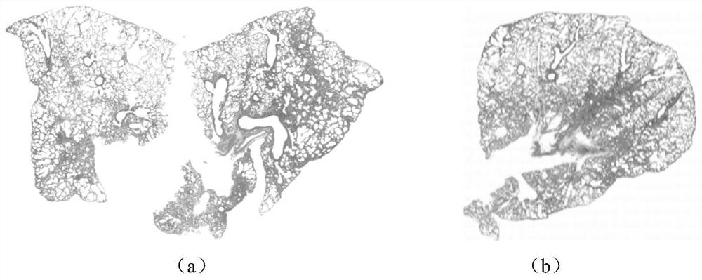 Application of Tanreqing in preparation of anti-influenza virus medicine