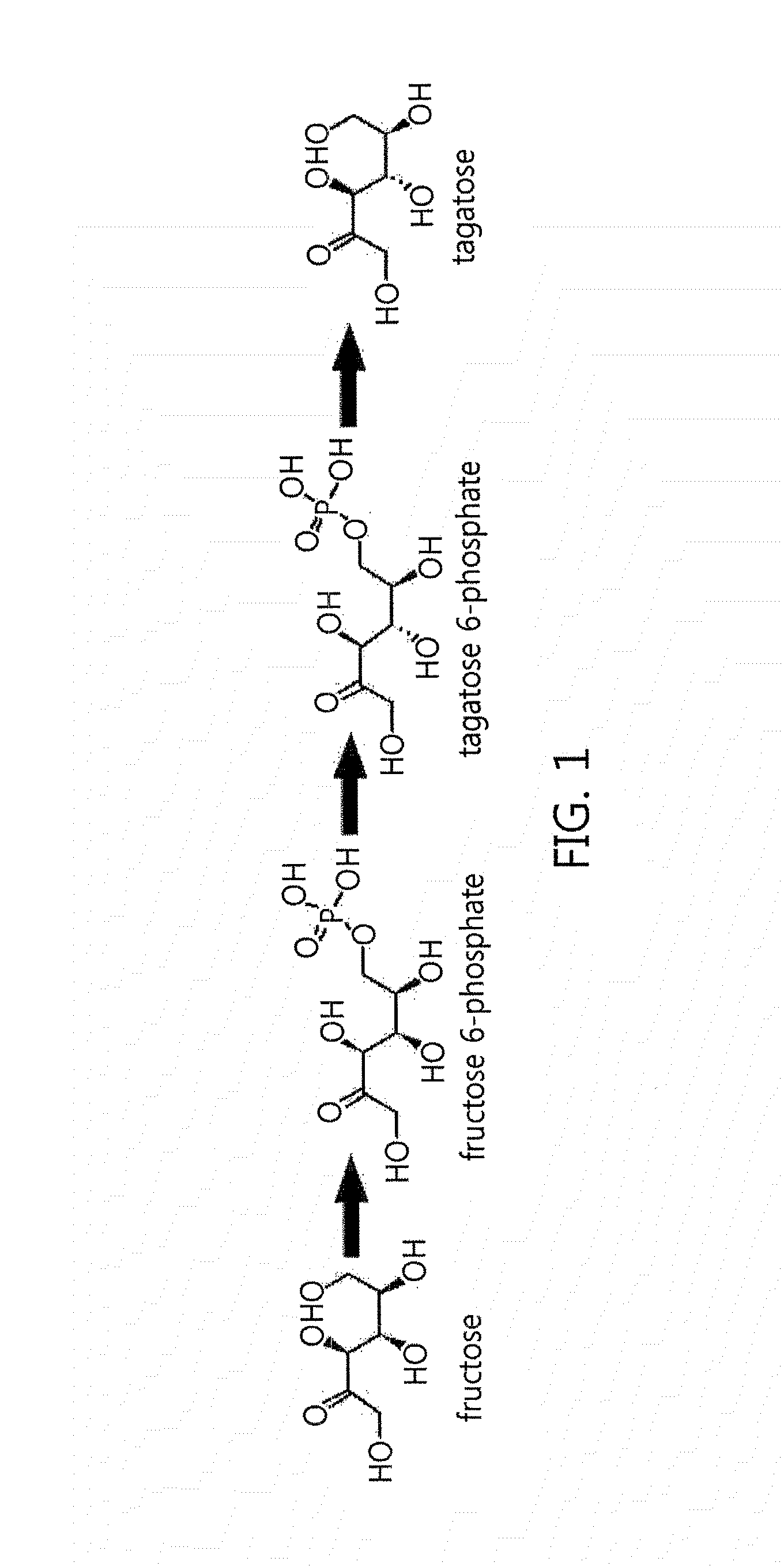 Aldolase, aldolase mutant, and method and composition for producing tagatose by using same