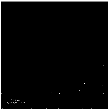 Preparation method of composite material of mesoporous carbon-silica loaded nano-moo3 and nano-metal particles