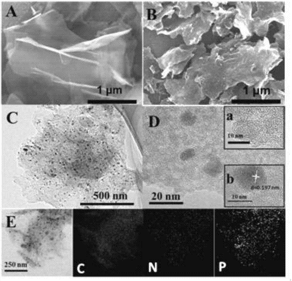 Preparation method and application of nitrogen and phosphorus co-doped carbon nanosheets