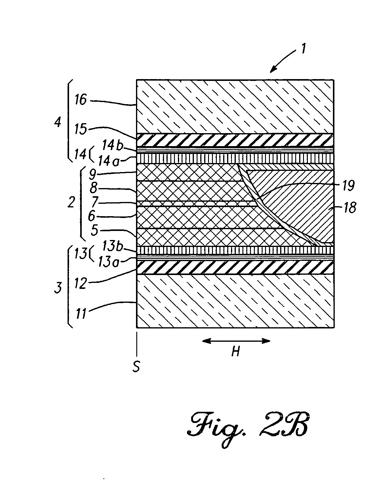 Thin film magnetic head having a pair of magnetic layers whose magnetization is controlled by shield layers