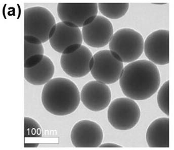 Preparation method and application of carbon dot modified silicon dioxide nanoparticle-based hydrogel composite material