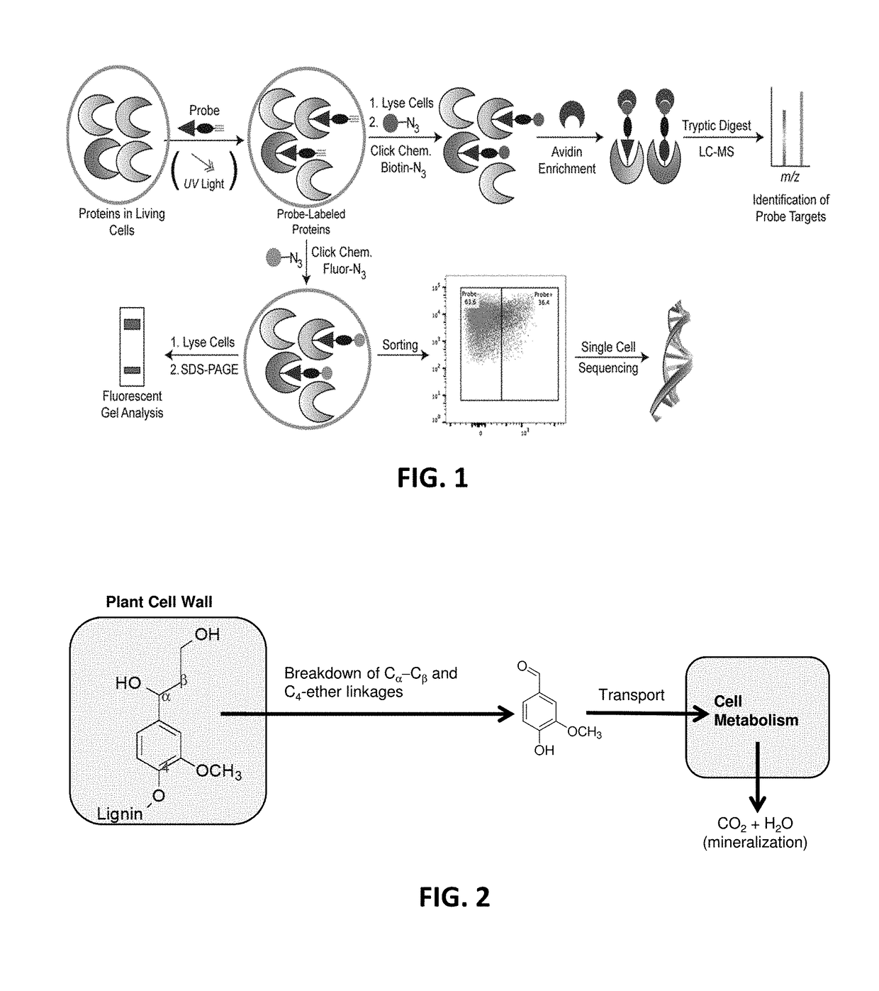 Function-based probes for environmental microbiome analysis and methods of making and using the same