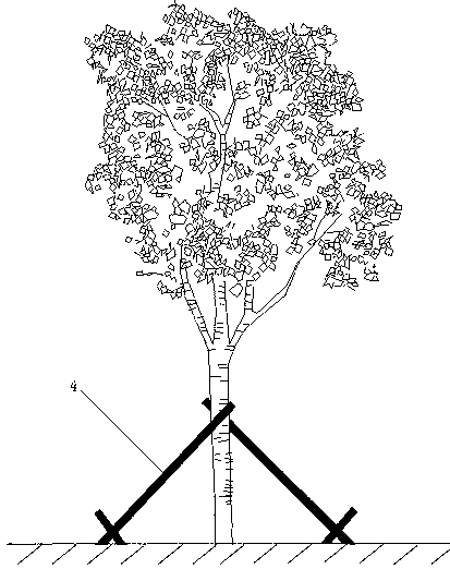 Method for planting trees in desert environment