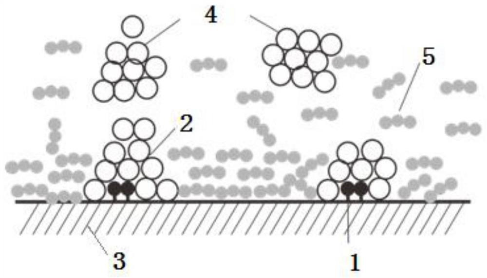 Calculation method for wettability of coal/shale in high-pressure environment