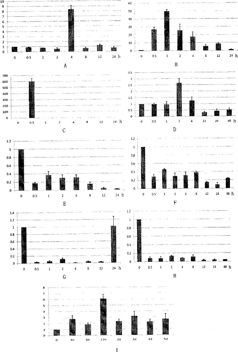 Plant stress tolerance related protein TaTPRPK1, encoding gene thereof, and application thereof