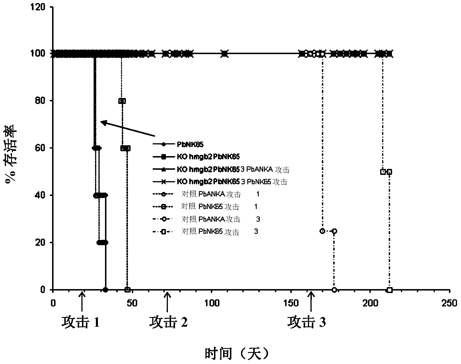 Attenuated plasmodium with deactivated HMGB2 gene, as vaccine