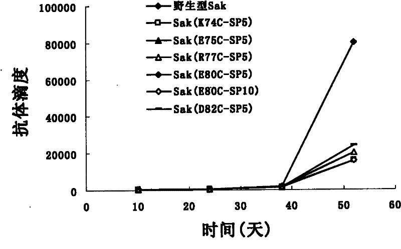 Pegylated staphylokinase mutant, and preparation method and application thereof