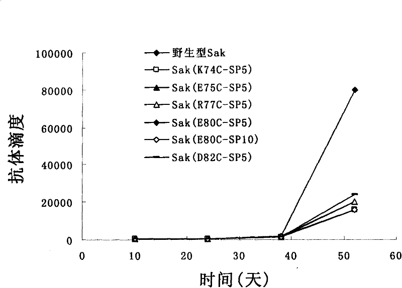 Pegylated staphylokinase mutant, and preparation method and application thereof