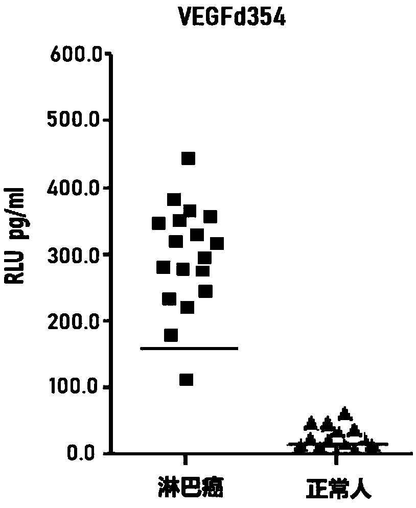 VEGF-D (vascular endothelial growth factor-D) monoclonal antibody and kit