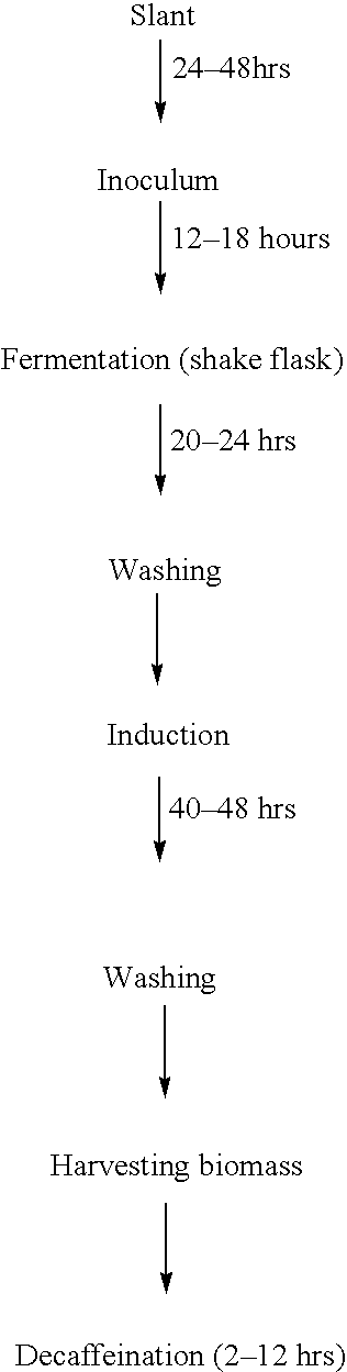 Decaffeinating microorganism and process of bio-decaffeination of caffeine containing solutions