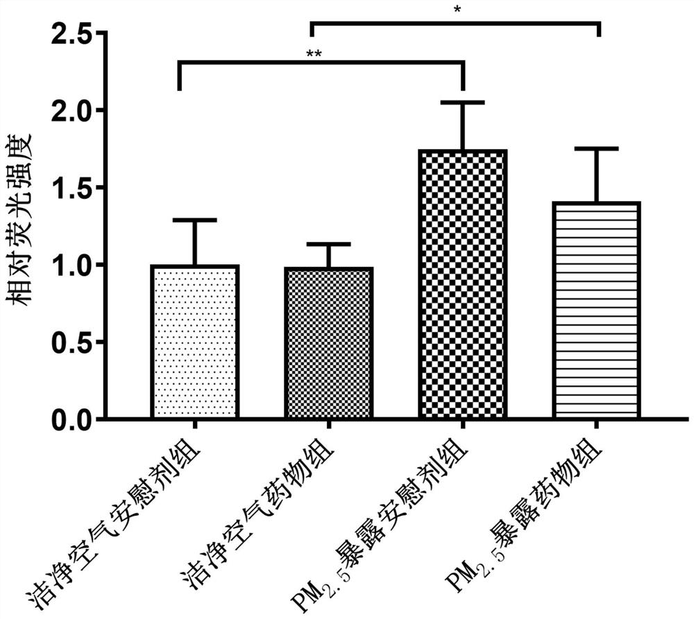 Combined medicine for preventing and/or repairing heart injuries caused by atmospheric pollution