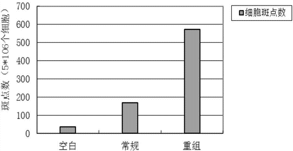 GM-CSF-HER2 recombinant protein, and preparation method and applications thereof