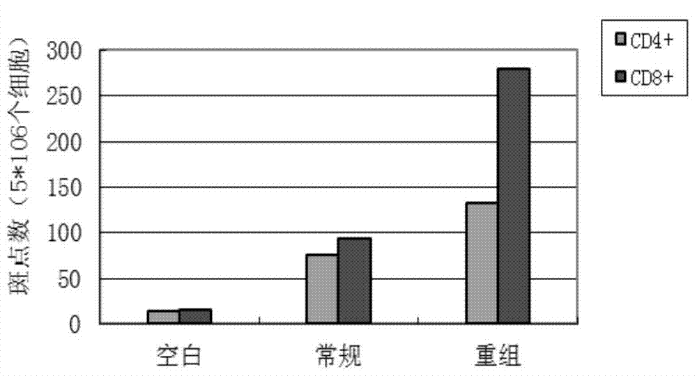 GM-CSF-HER2 recombinant protein, and preparation method and applications thereof