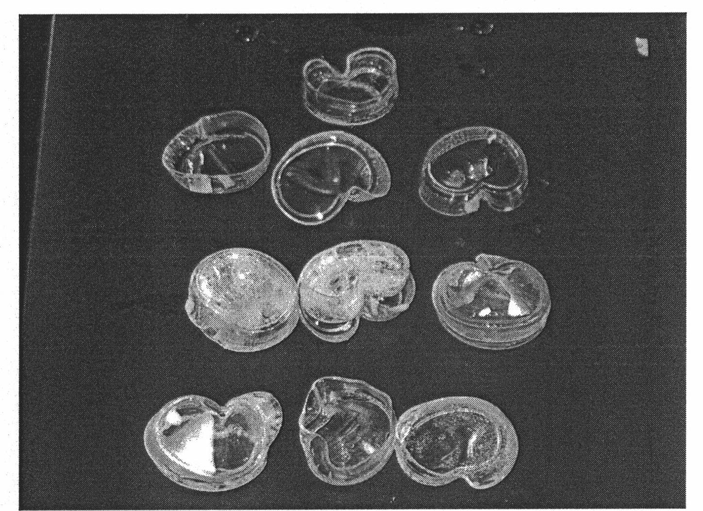 Tissue engineering cell piece and preparation method thereof