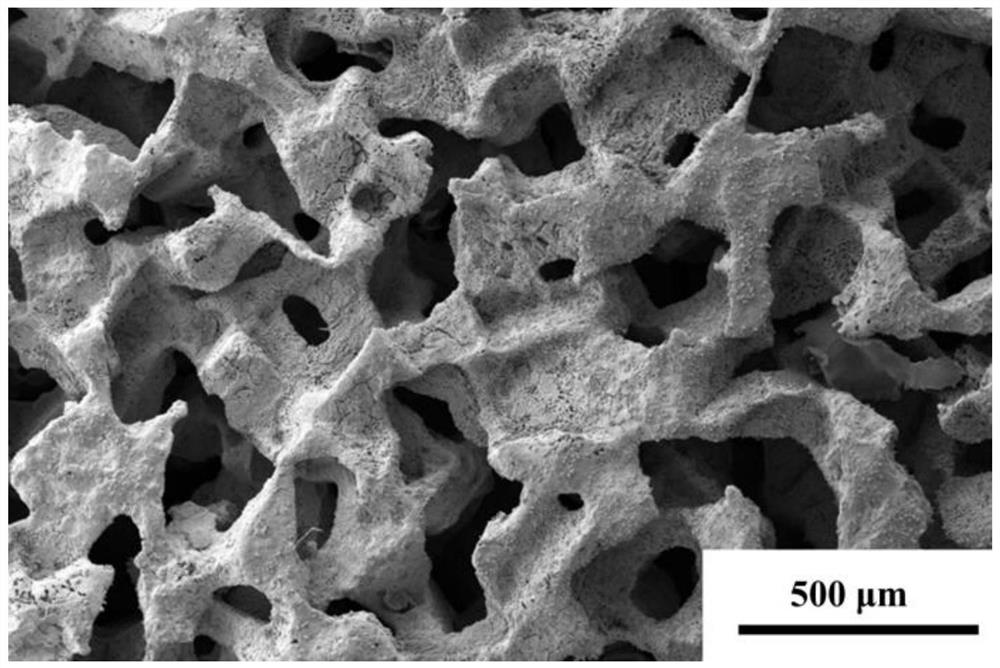 Porous zinc alloy bone tissue engineering scaffold coated with bioactive coating and preparation method thereof
