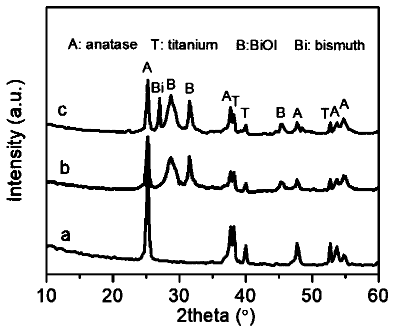 A kind of bi-bioi/tna composite material and its application