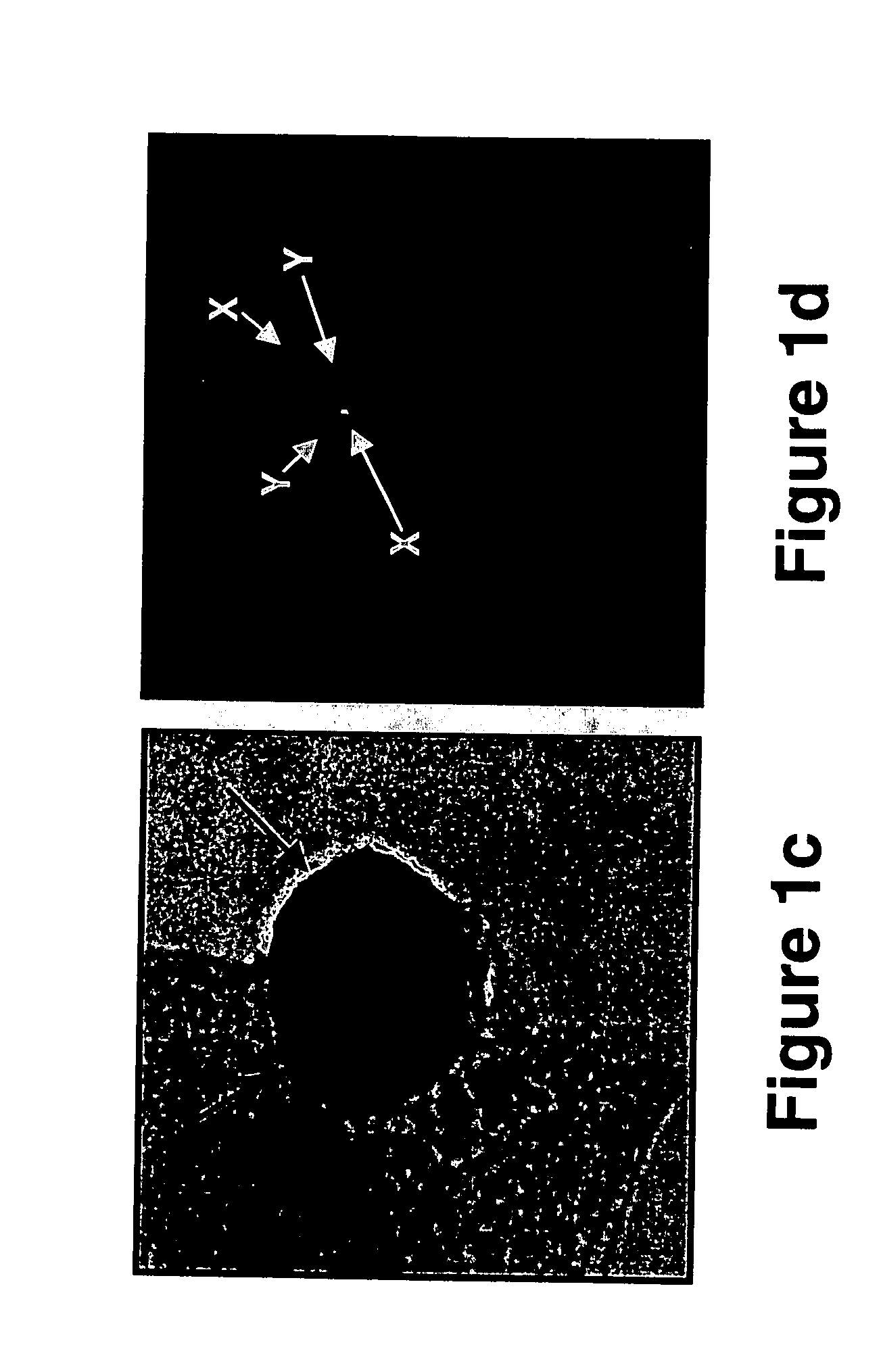 Non-invasive prenatal genetic diagnosis using transcervical cells