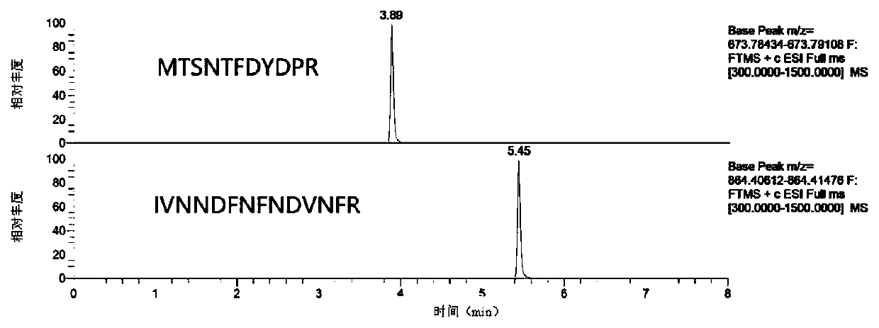 Method for quantifying Apis cerana cerana honey MRJP2 through liquid chromatography-tandem mass spectrometry