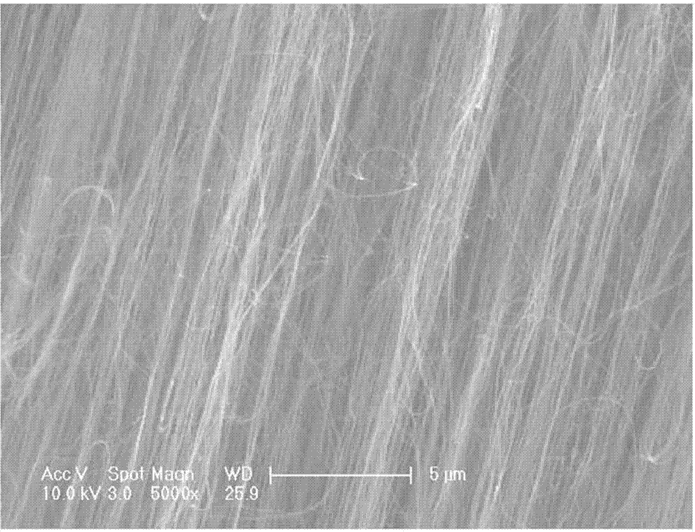 Polarization element and manufacturing method thereof