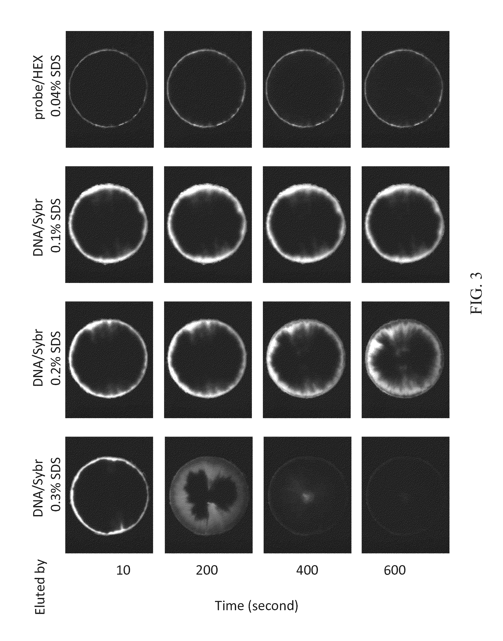 Method of using microfluidic chip for nucleic acid hybridization