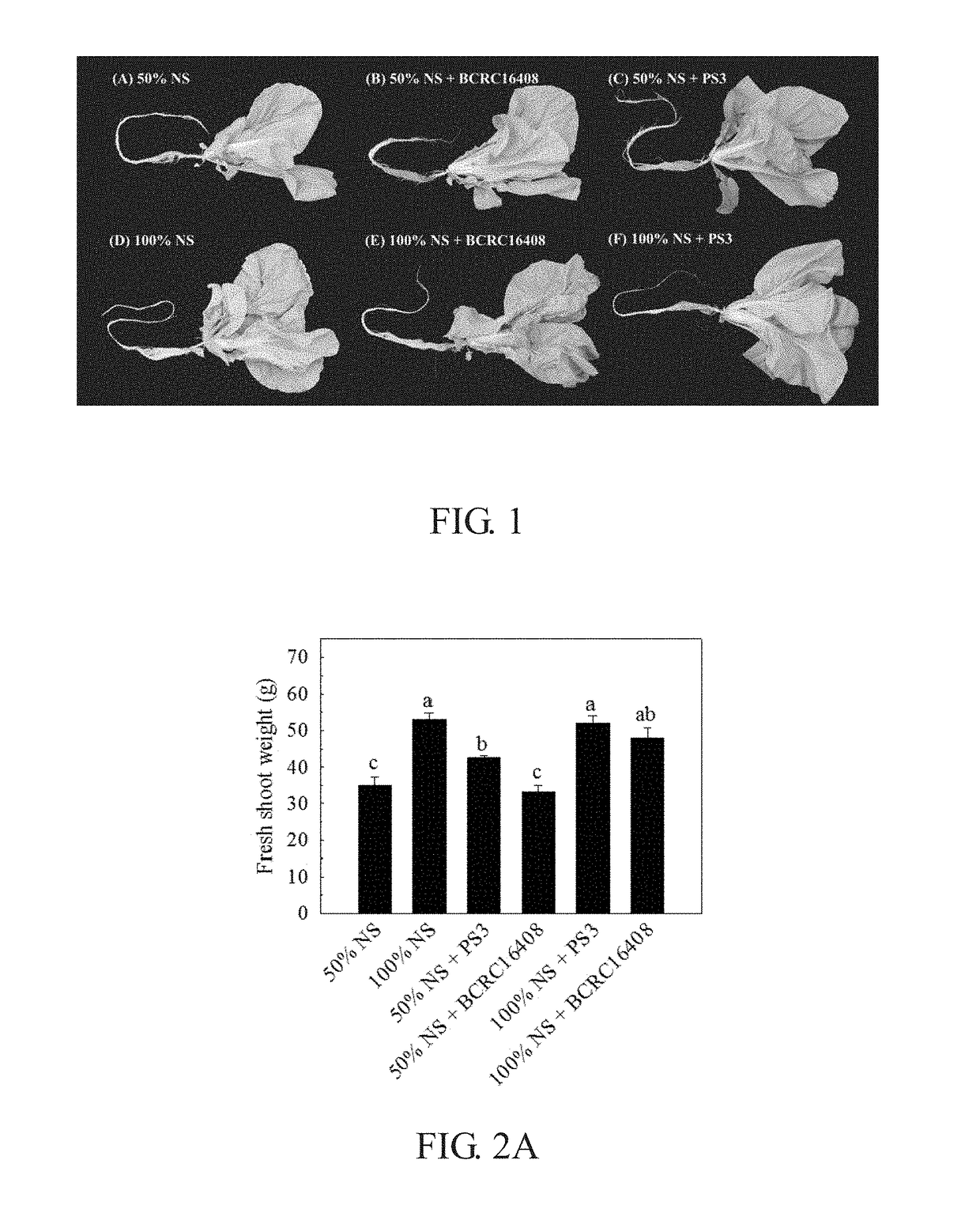 Method of reducing nitrate content in a plant