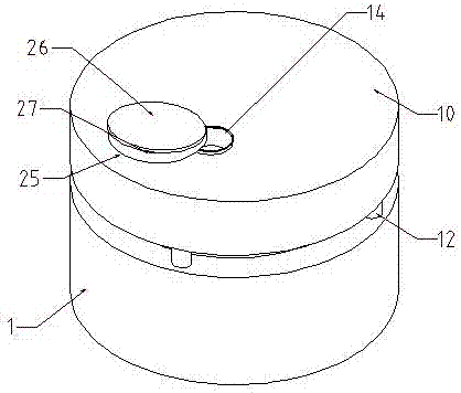 Sputum collection device for examination and using method thereof