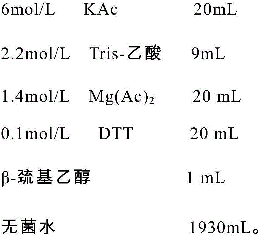 Method for preparing cysteine protease through cell-free protein synthesis system