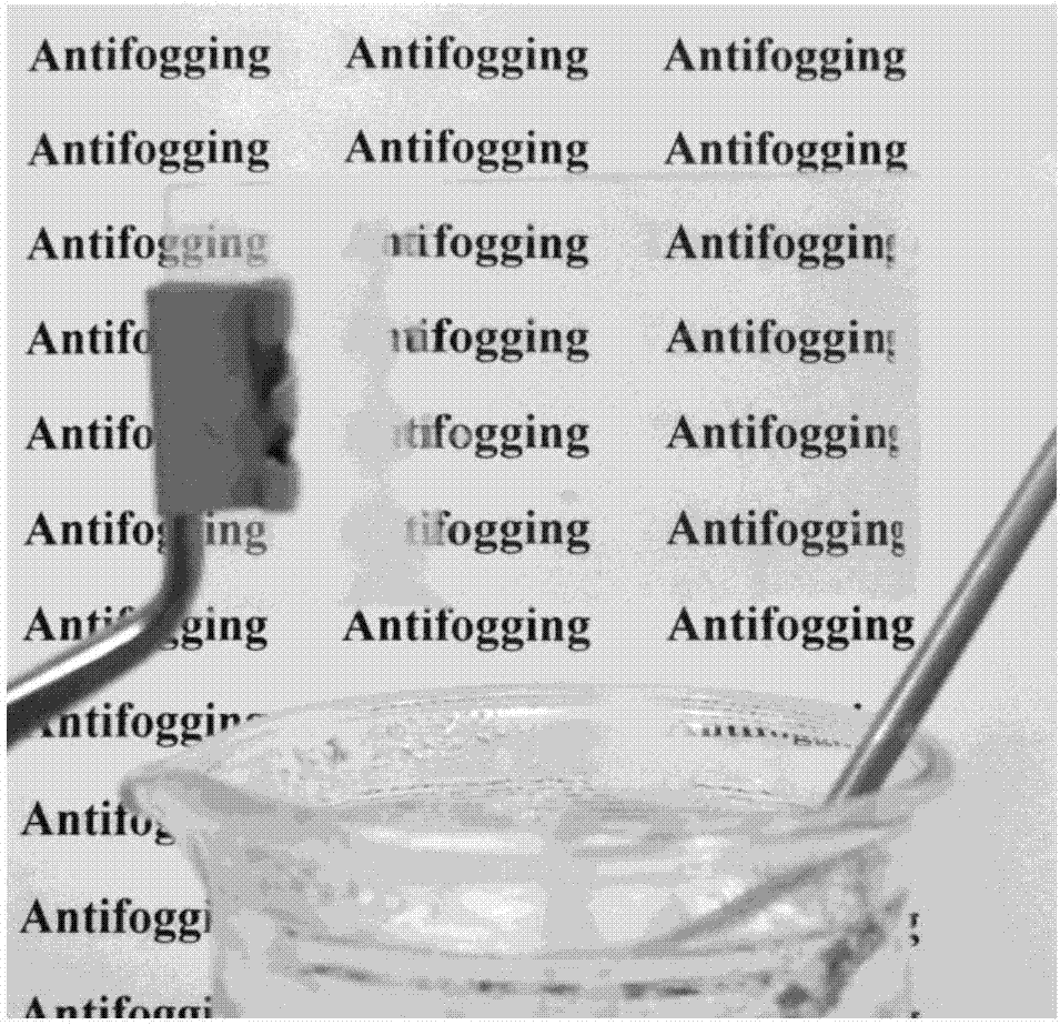 Complex aqueous solution for preparing self-repairing anti-fog frost prevention coating and application thereof