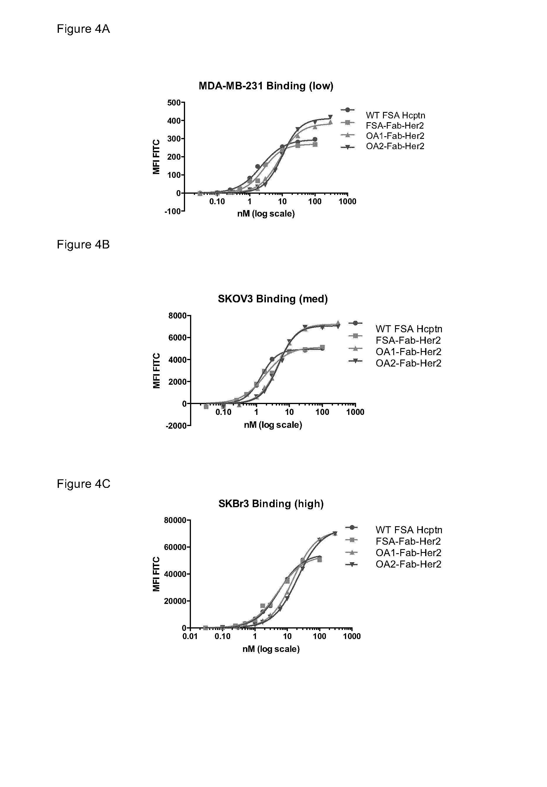 Single-Arm Monovalent Antibody Constructs and Uses Thereof