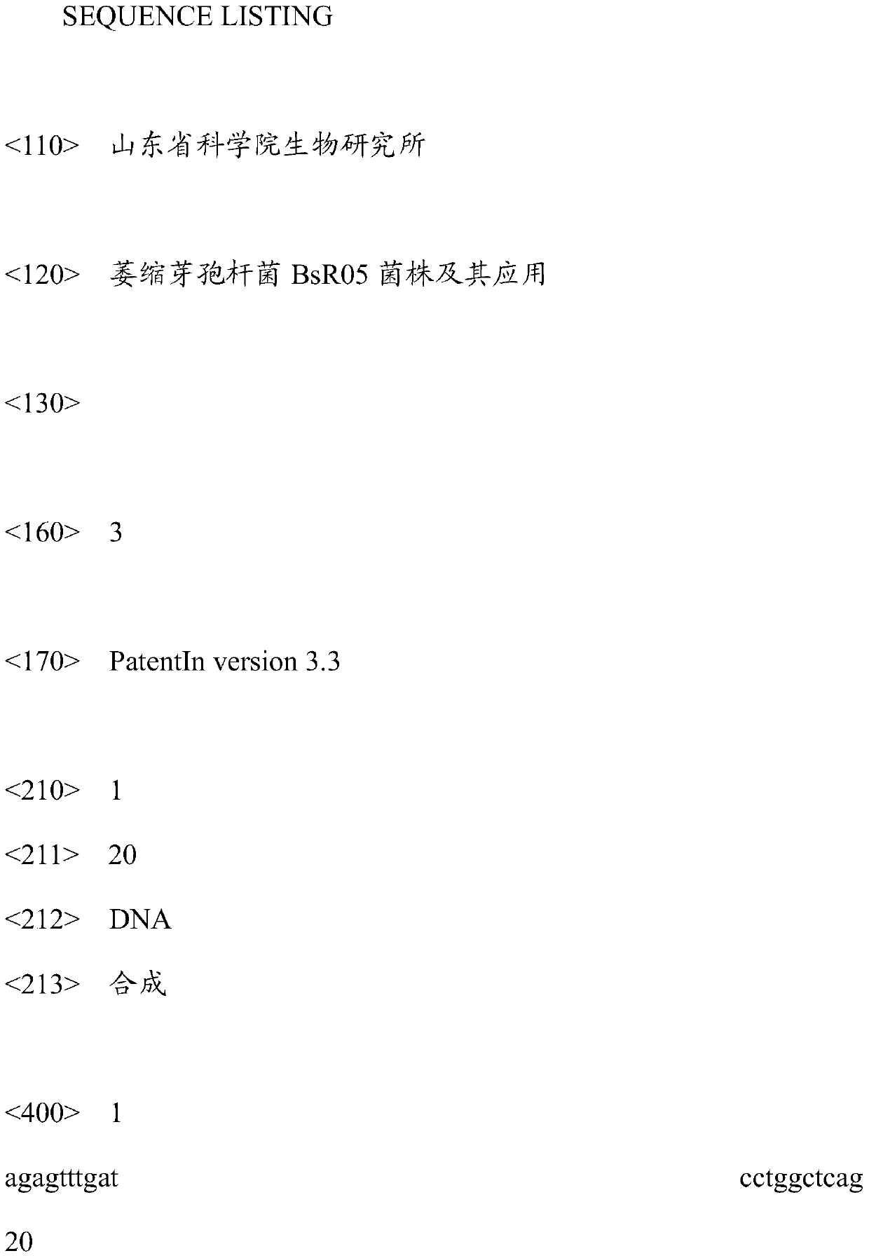 Bacillus atrophicus strain bsr05 and its application