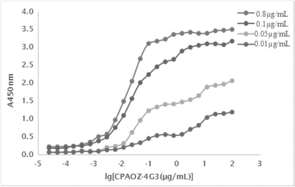 Furazolidone-metabolite-resistant monoclonal antibody and application thereof