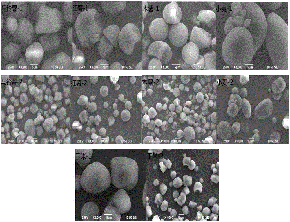 Method for detecting low-quality starch-doped potato starch fast