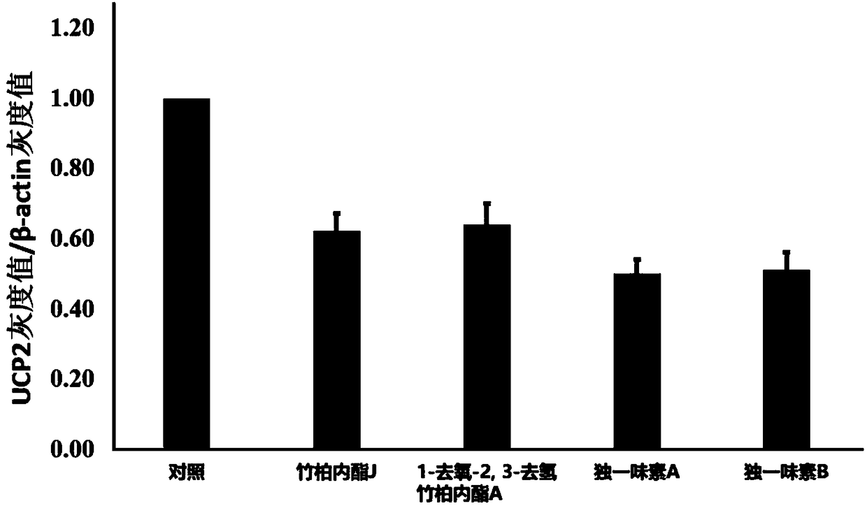 Biomedical application of 1-deoxy-2,3-dehydronagilactone A serving as UCP2 inhibitor for treating gastric adenocarcinoma