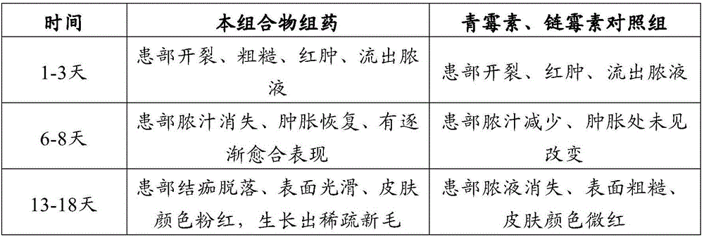 Traditional Chinese medicine composition for treating sheep actinomycosis