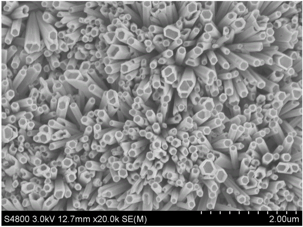 Preparation method of supported ZnO nano array photocatalysts