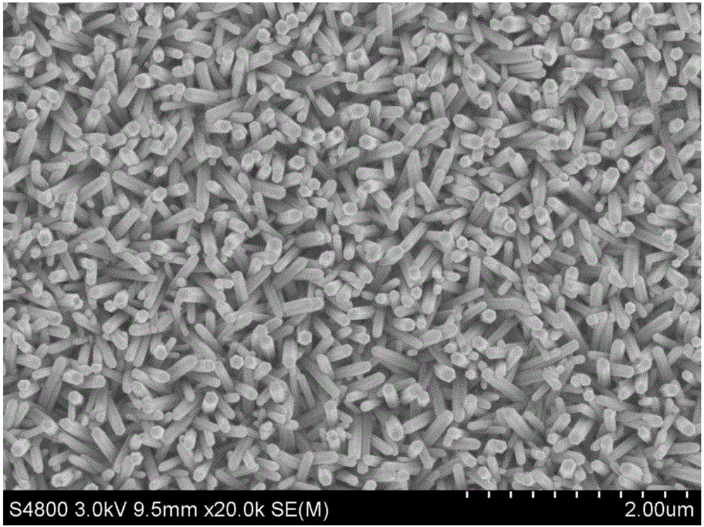 Preparation method of supported ZnO nano array photocatalysts