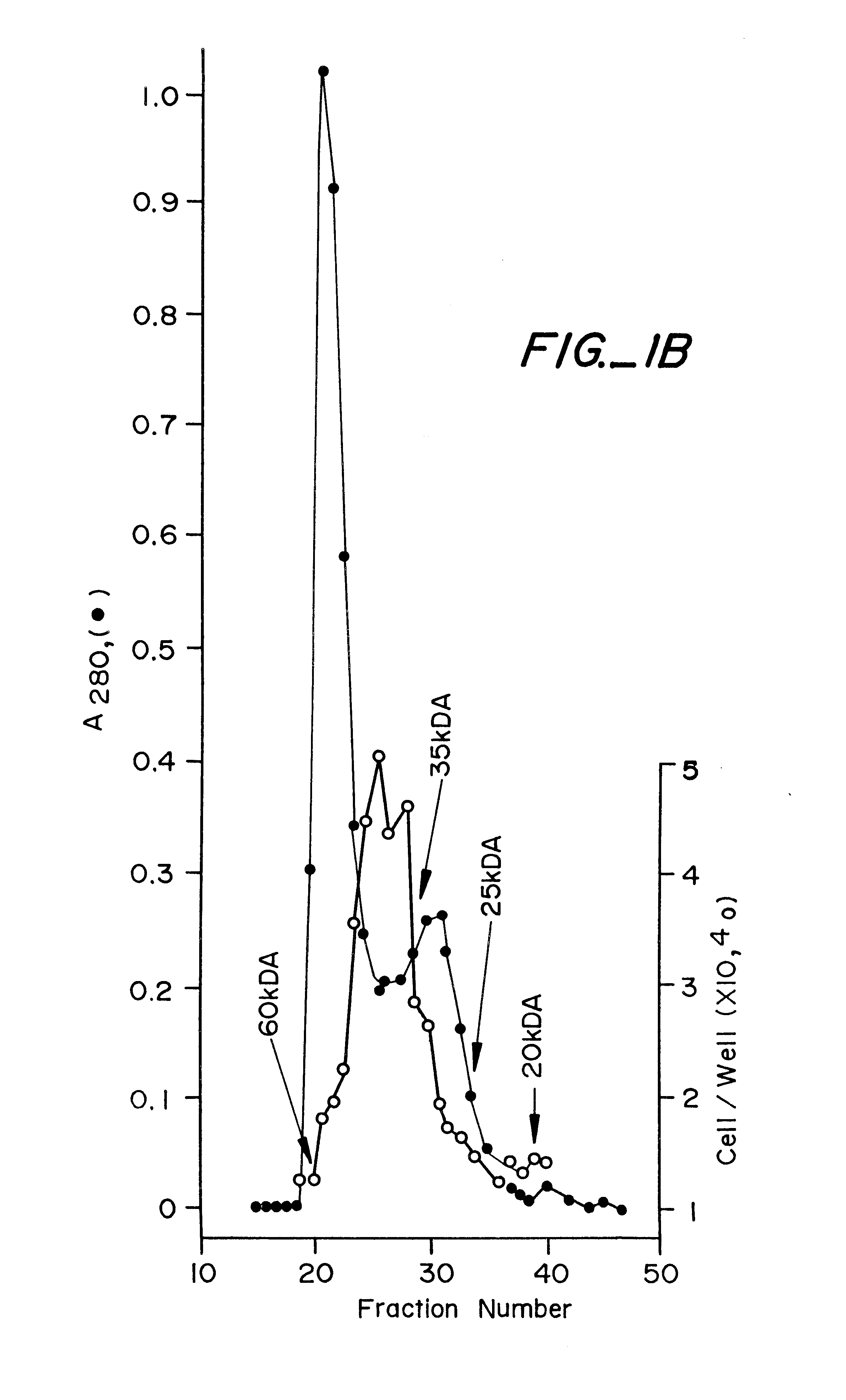 Endothelial cell growth factor methods of isolation and expression