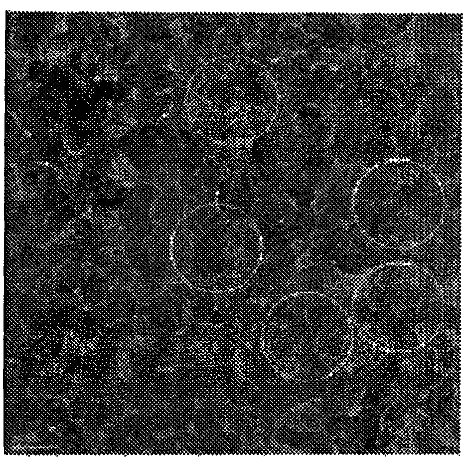 Acicular silica coating for enhanced hydrophilicity/transmittivity